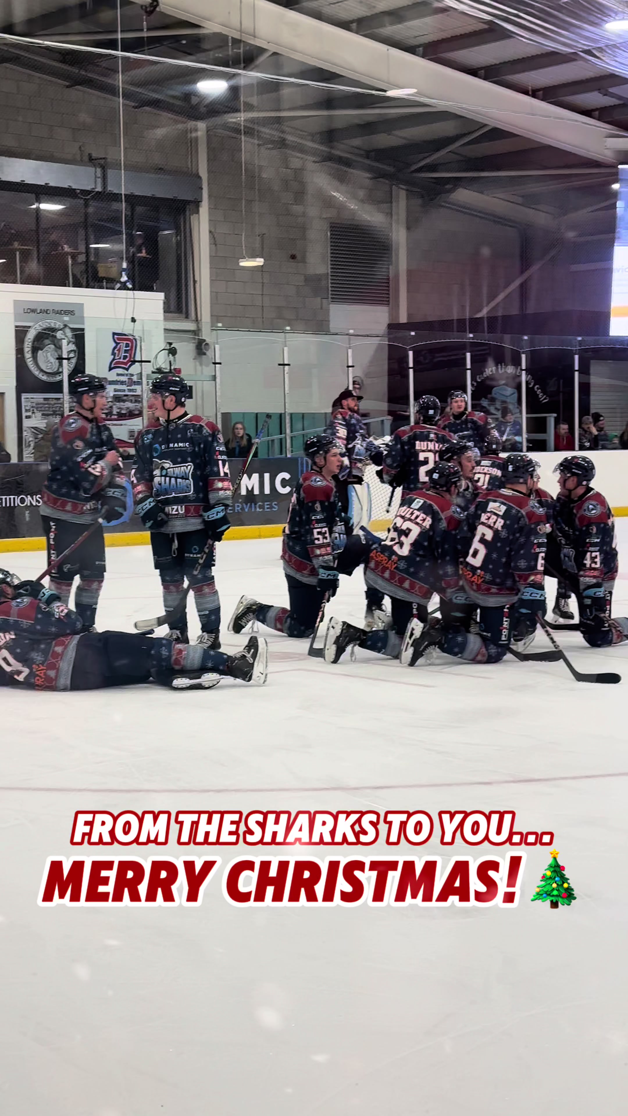 @Solway Sharks Official