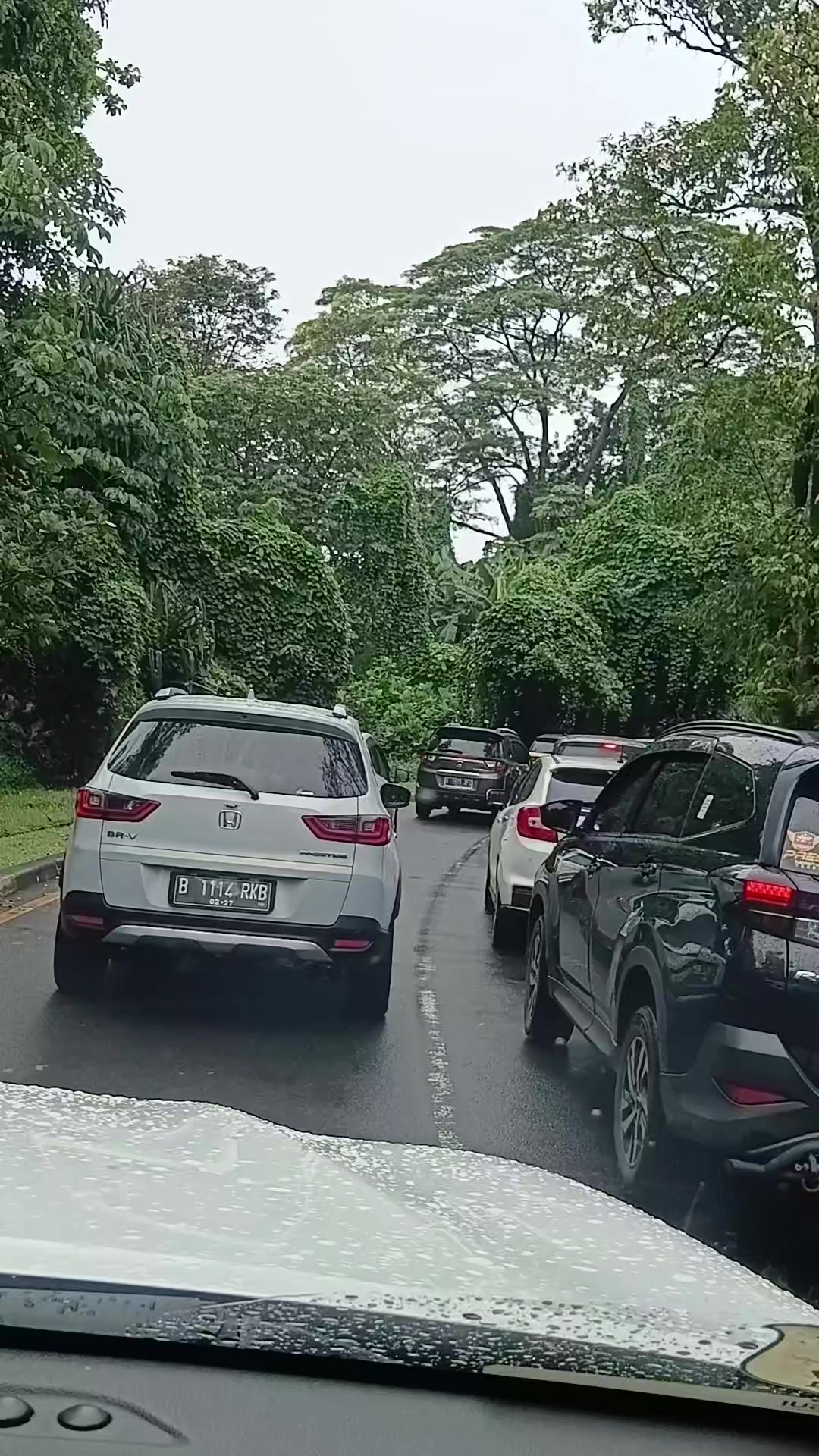@Dari kontak anda
