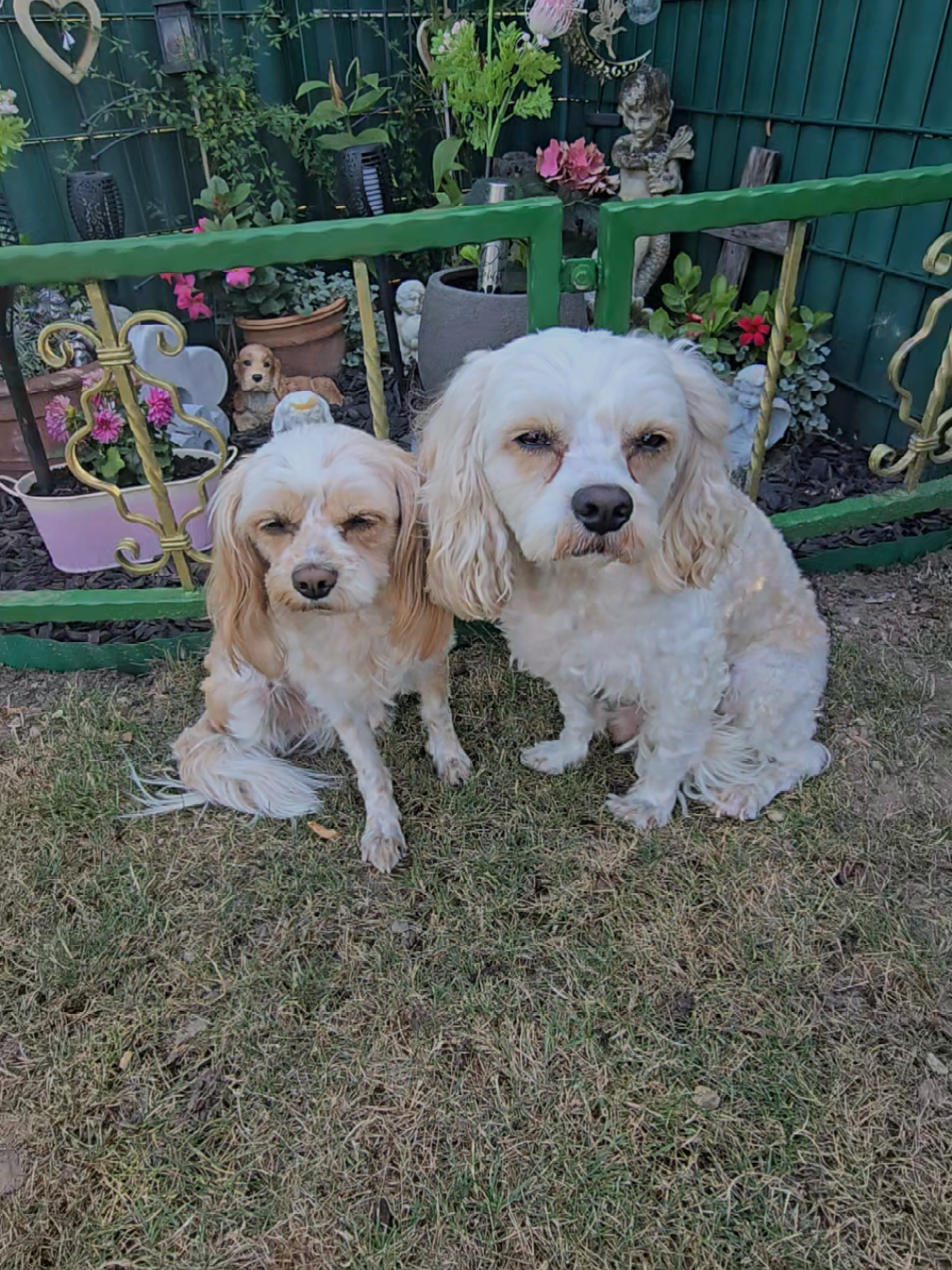 @Jazzy&Oscar's Hundeblog