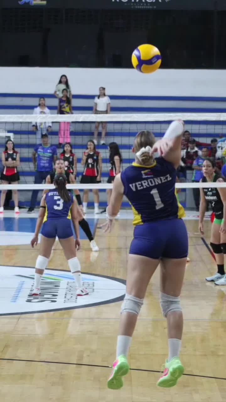 @Aragua Voleibol Club