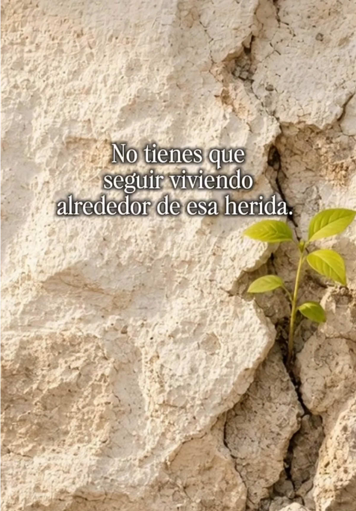 @Protegido Por Dios