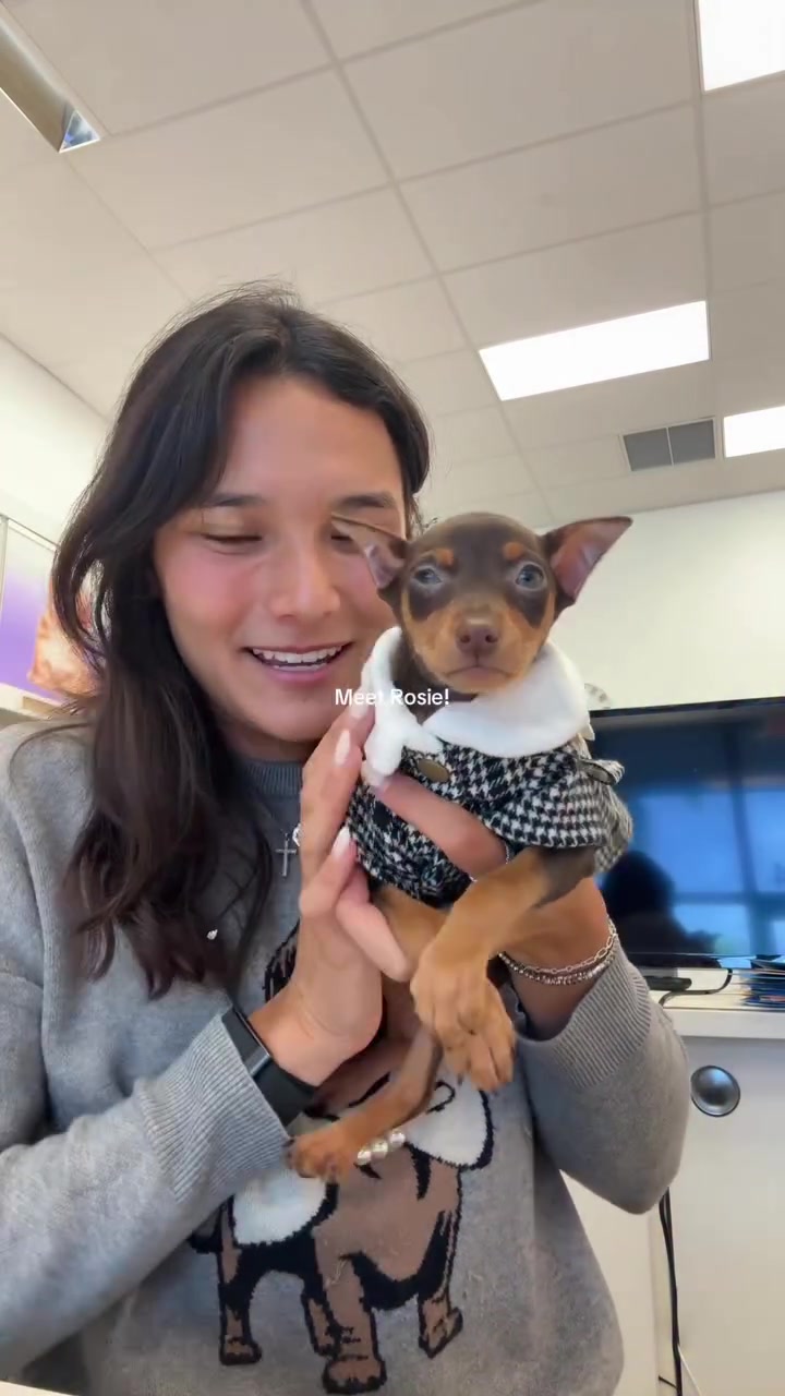 @Paradise Puppies🐶