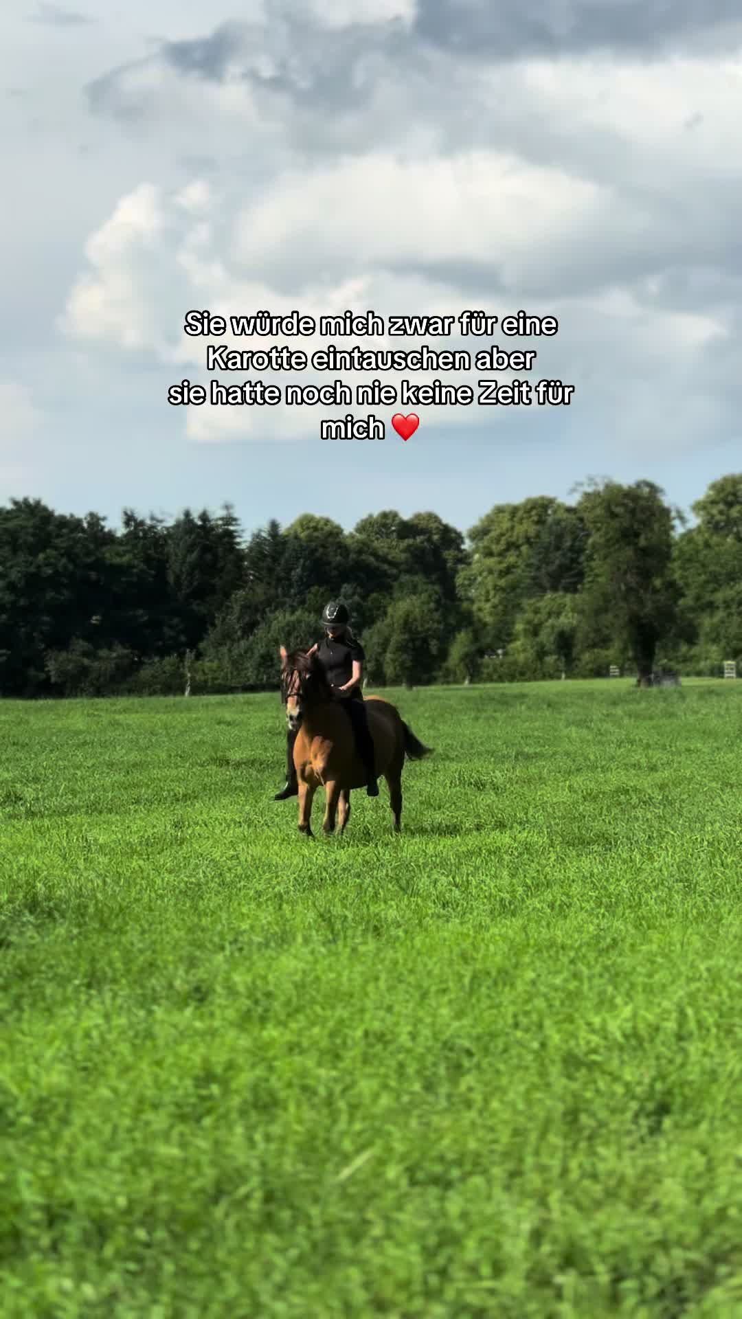 @𝖬𝖺𝗒𝖺 ❦