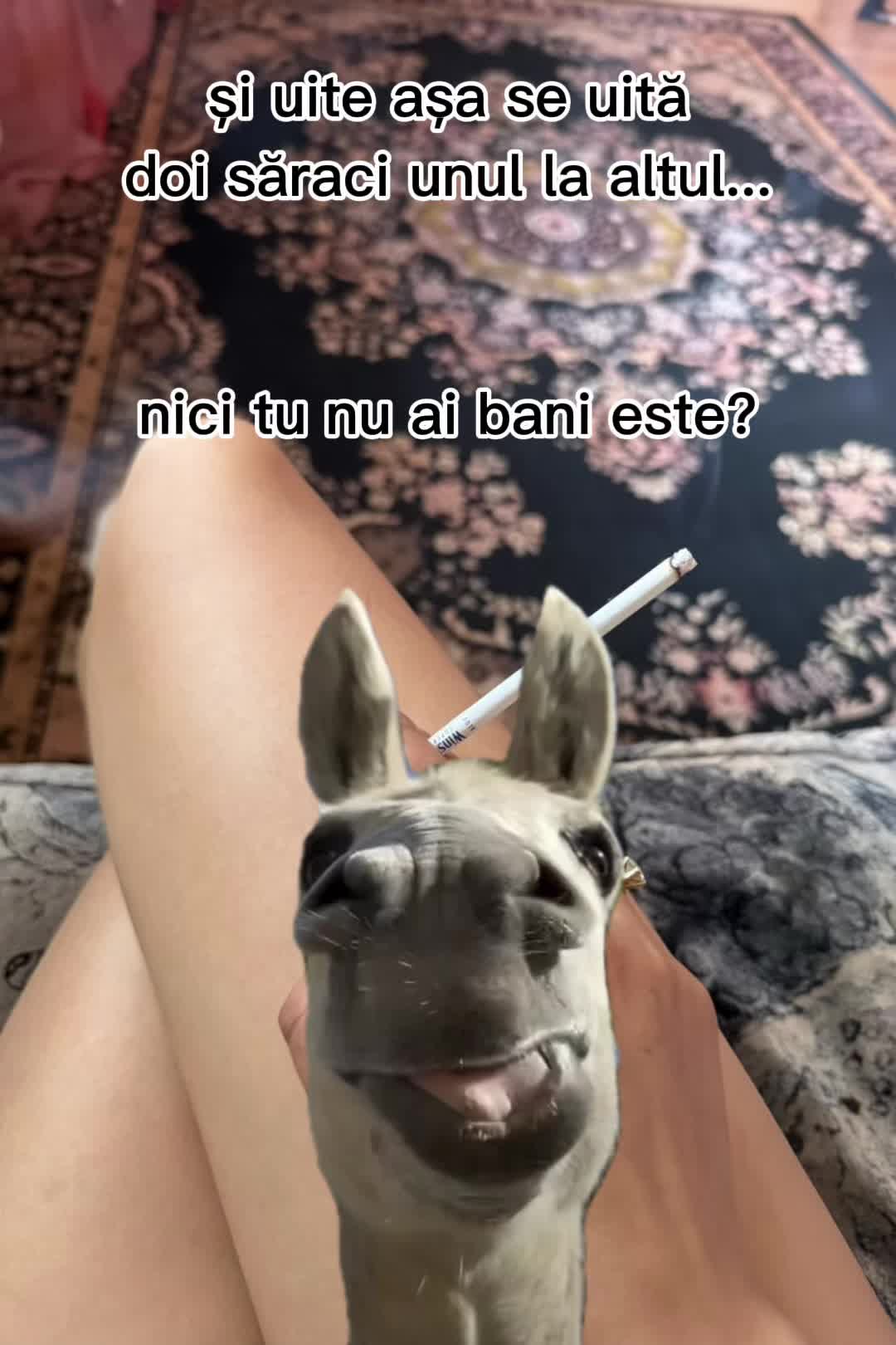@🦋🩷CATALINAMARIA🩷🦋