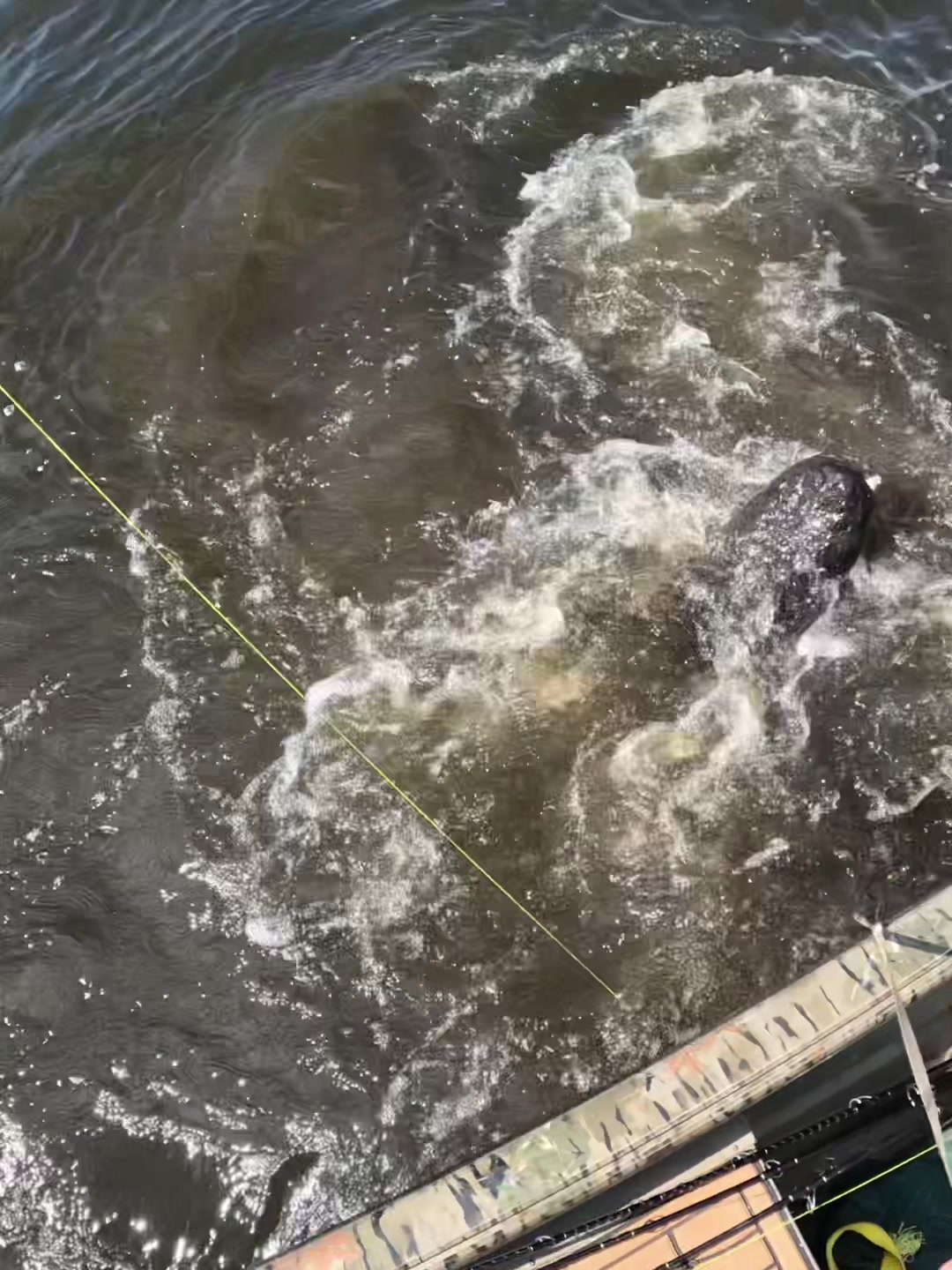 @SwampAddictOutdoorsLLC