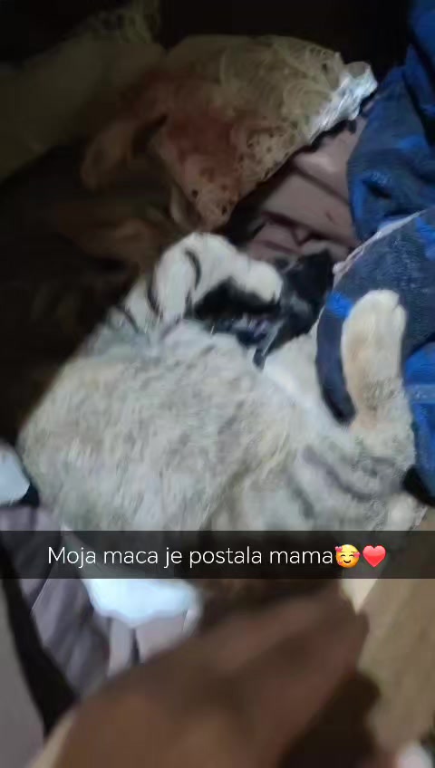 @anja_feher08