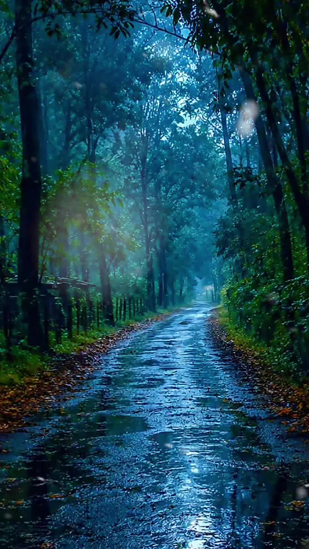 @Homathy🐼JayRaj
