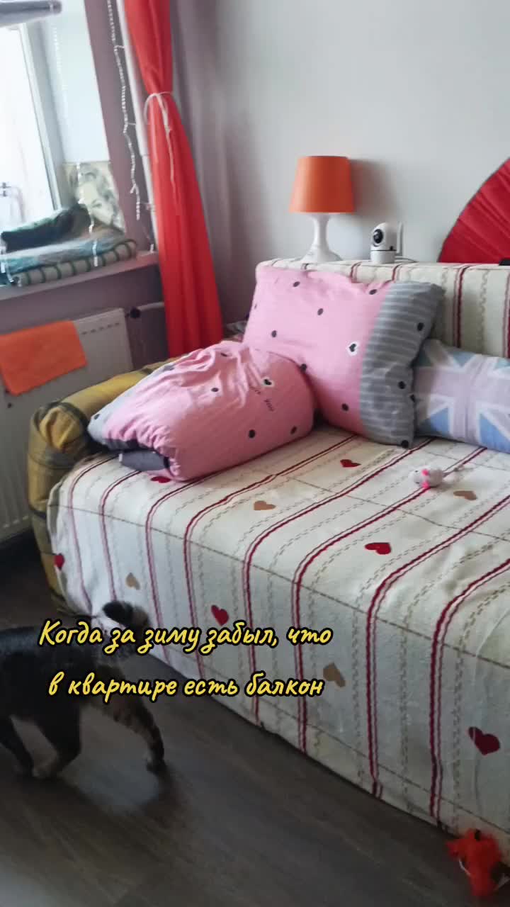 @user2278096979685
