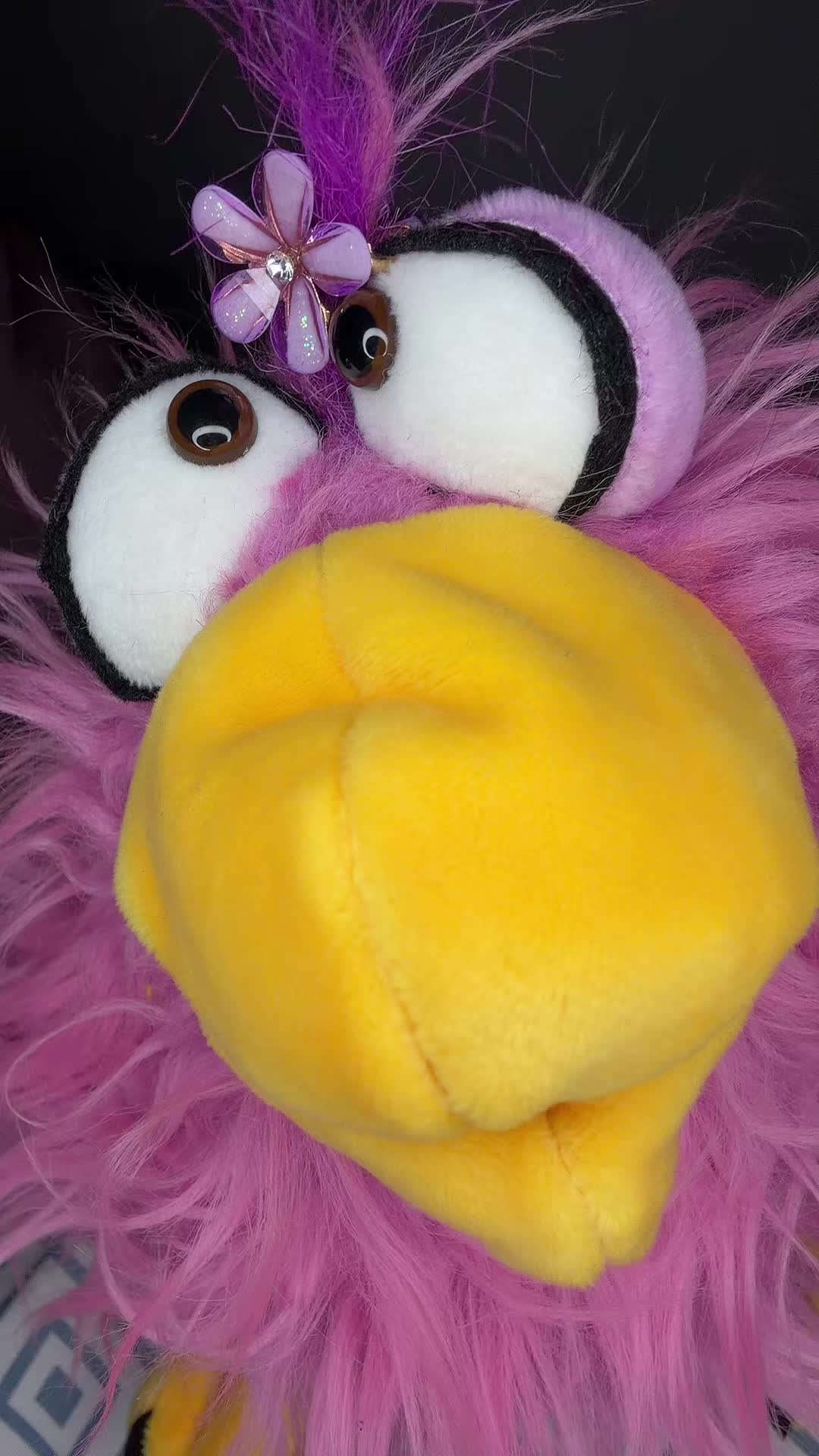 @CrAzYpUpPyS