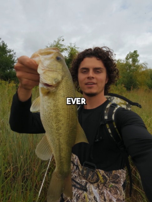@Stef Fish