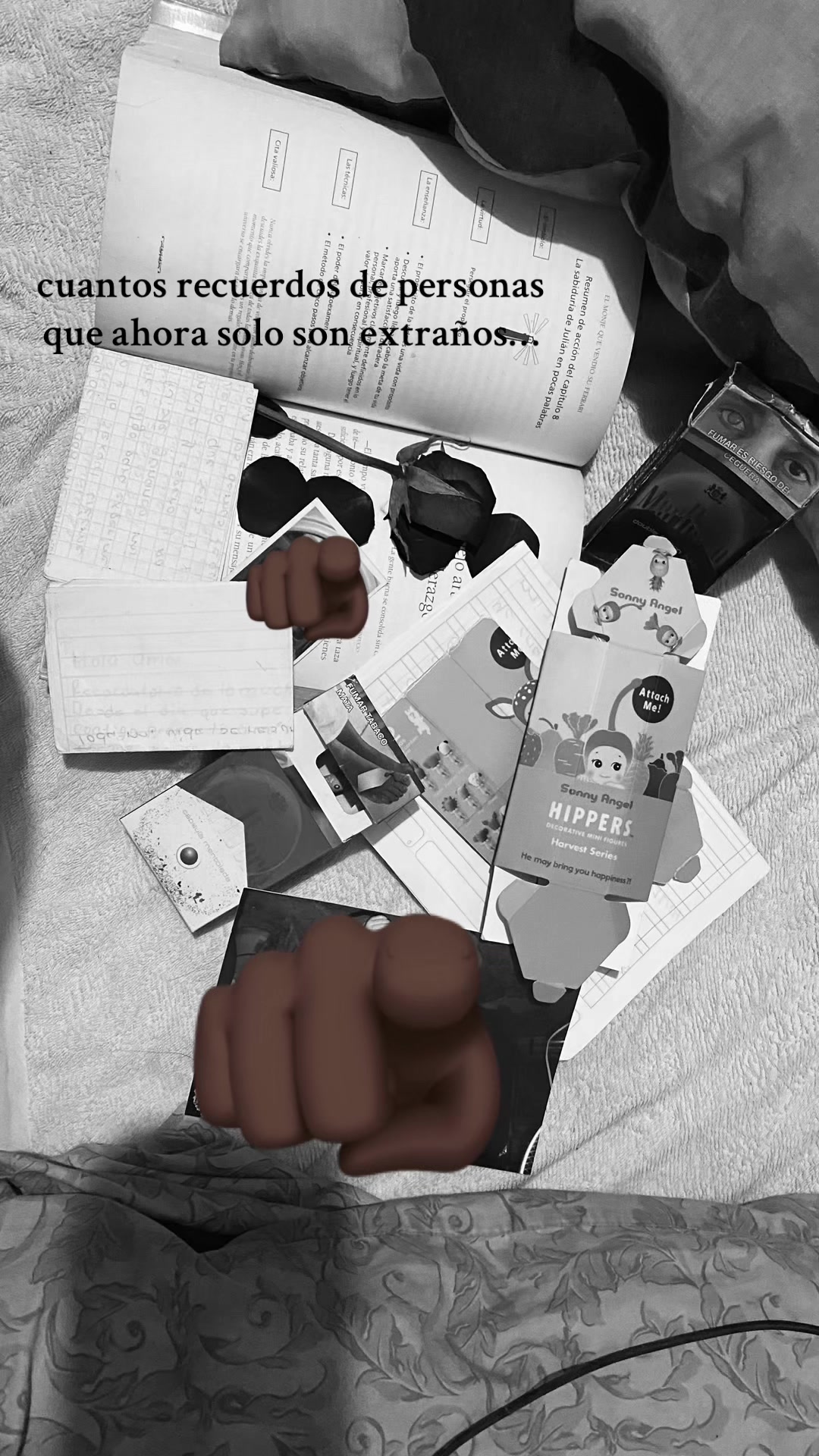 @anapau