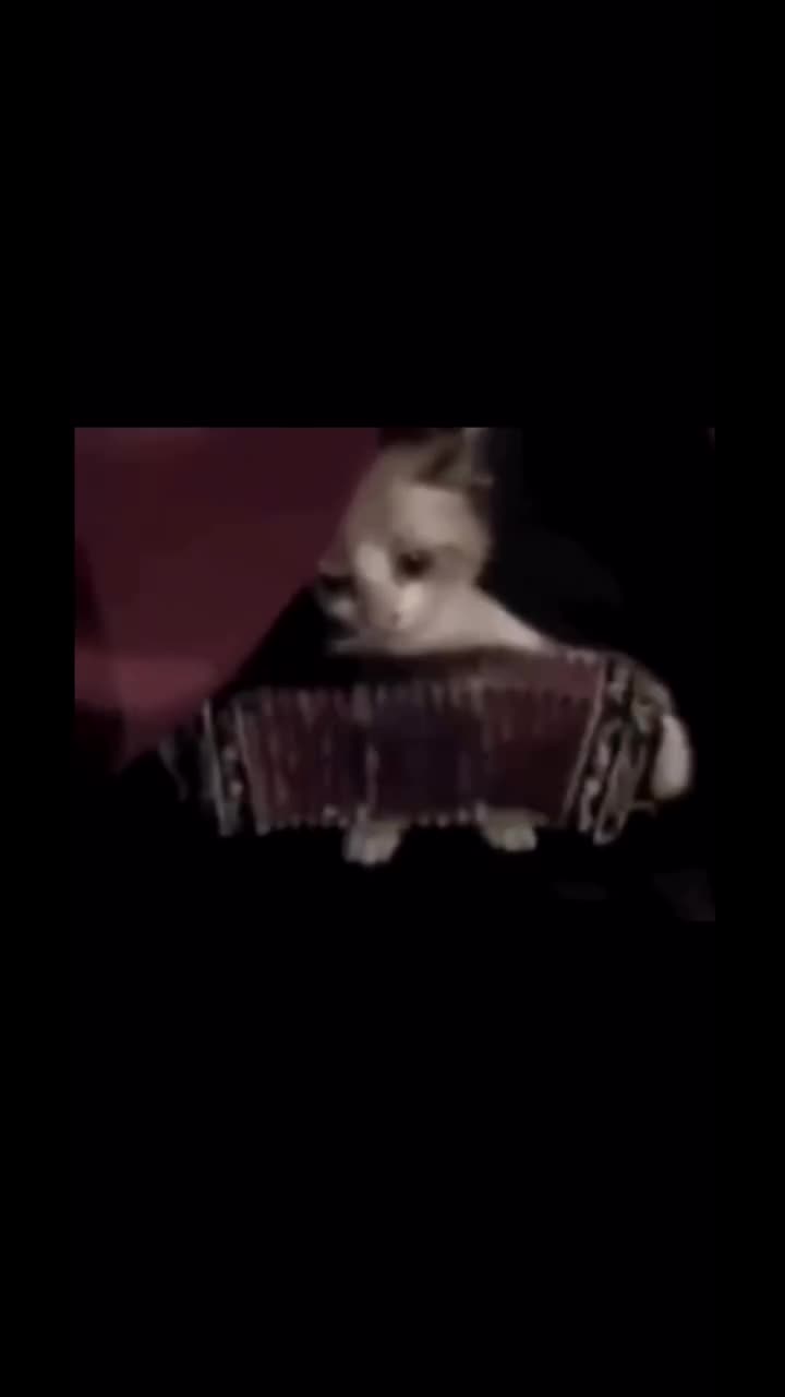@Michae_38
