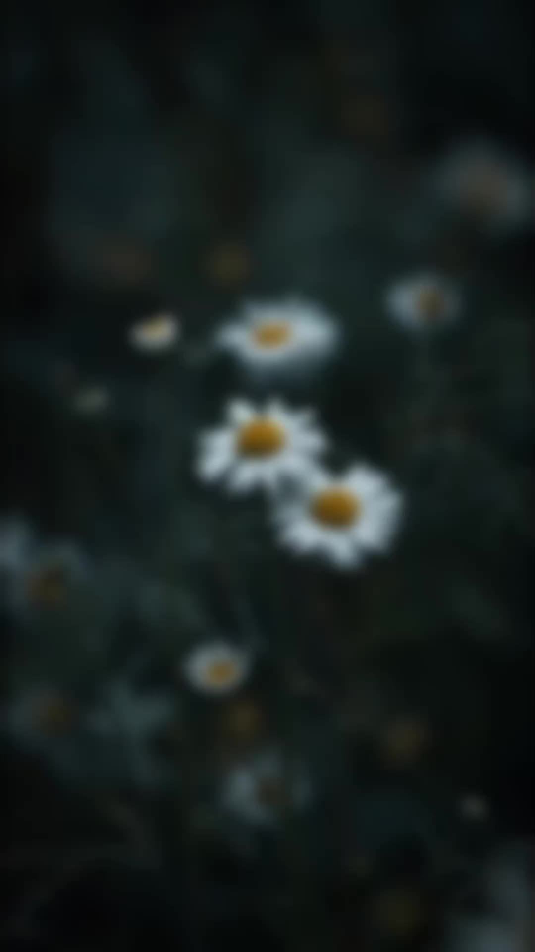 @๐
ฝ๐
ธ๐
บ๐๐
ฐ๐
ณ