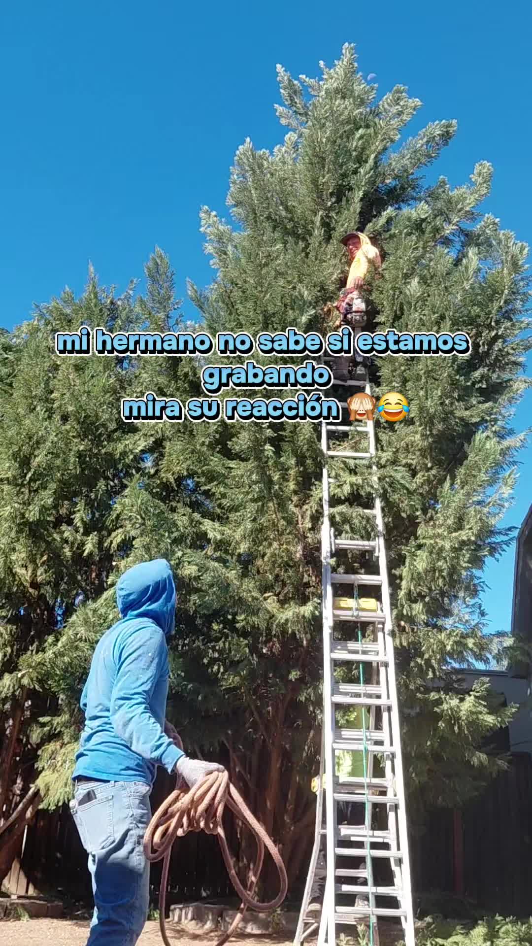 @✅️☠️𝐶𝒉𝐚𝐩𝑖𝐧𝟓𝟎𝟐👻💫