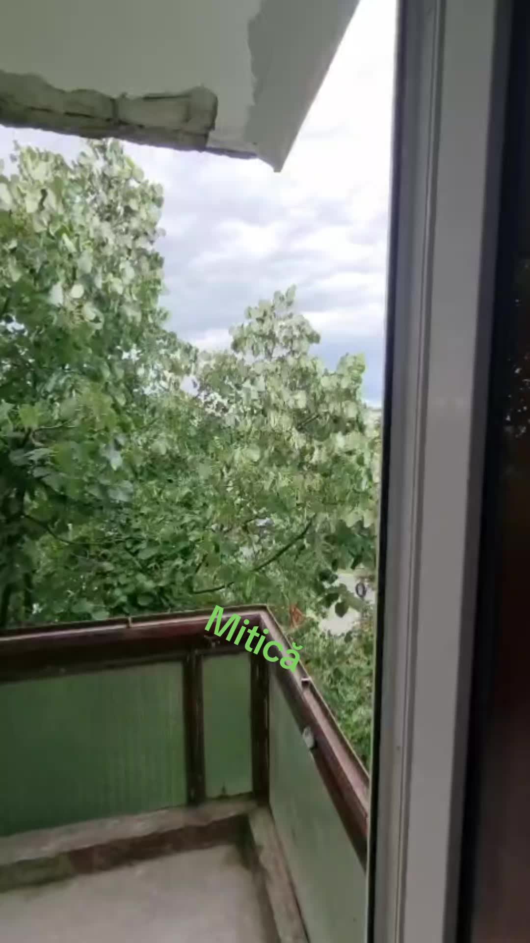 @Mitică
