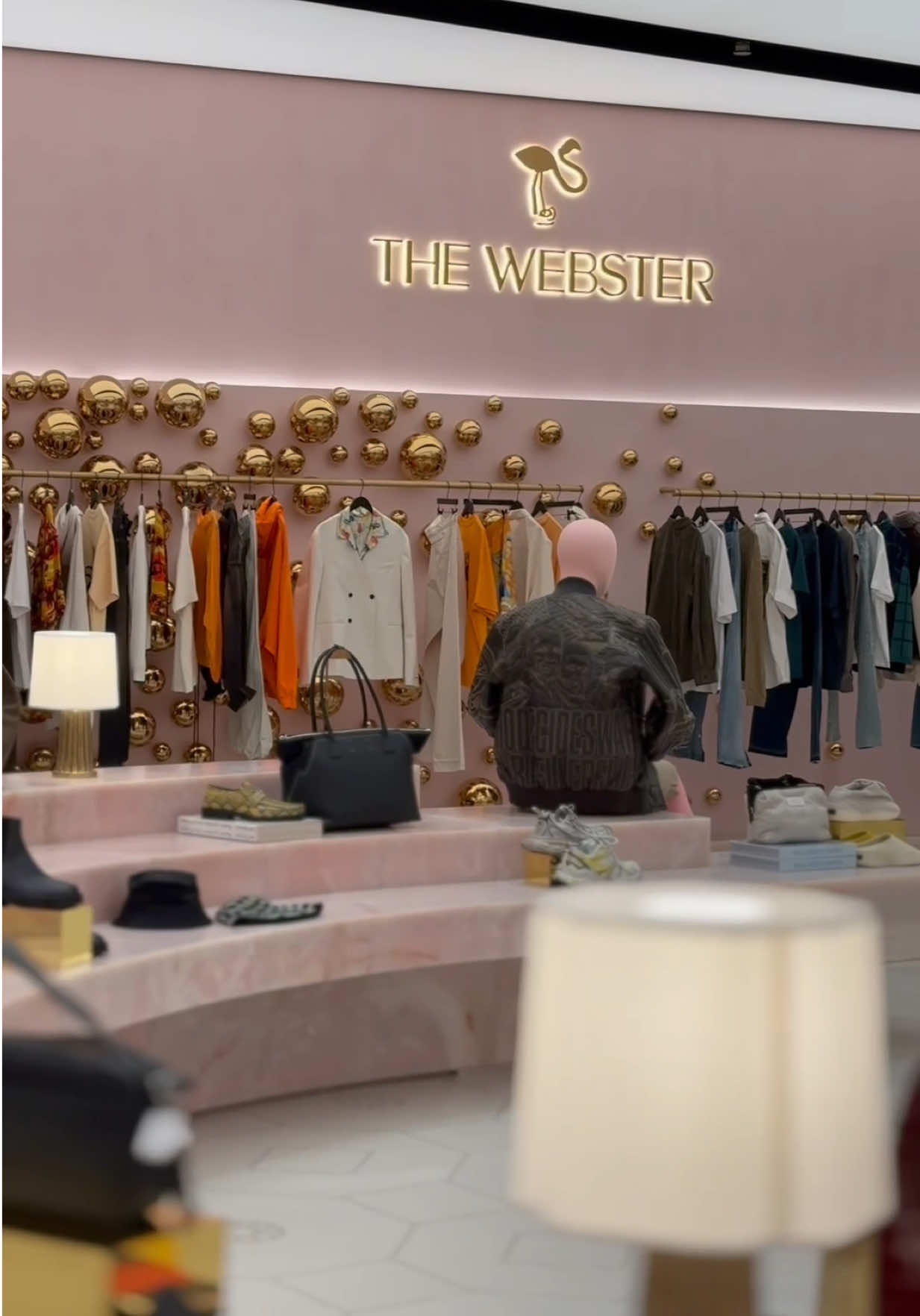 @thewebster