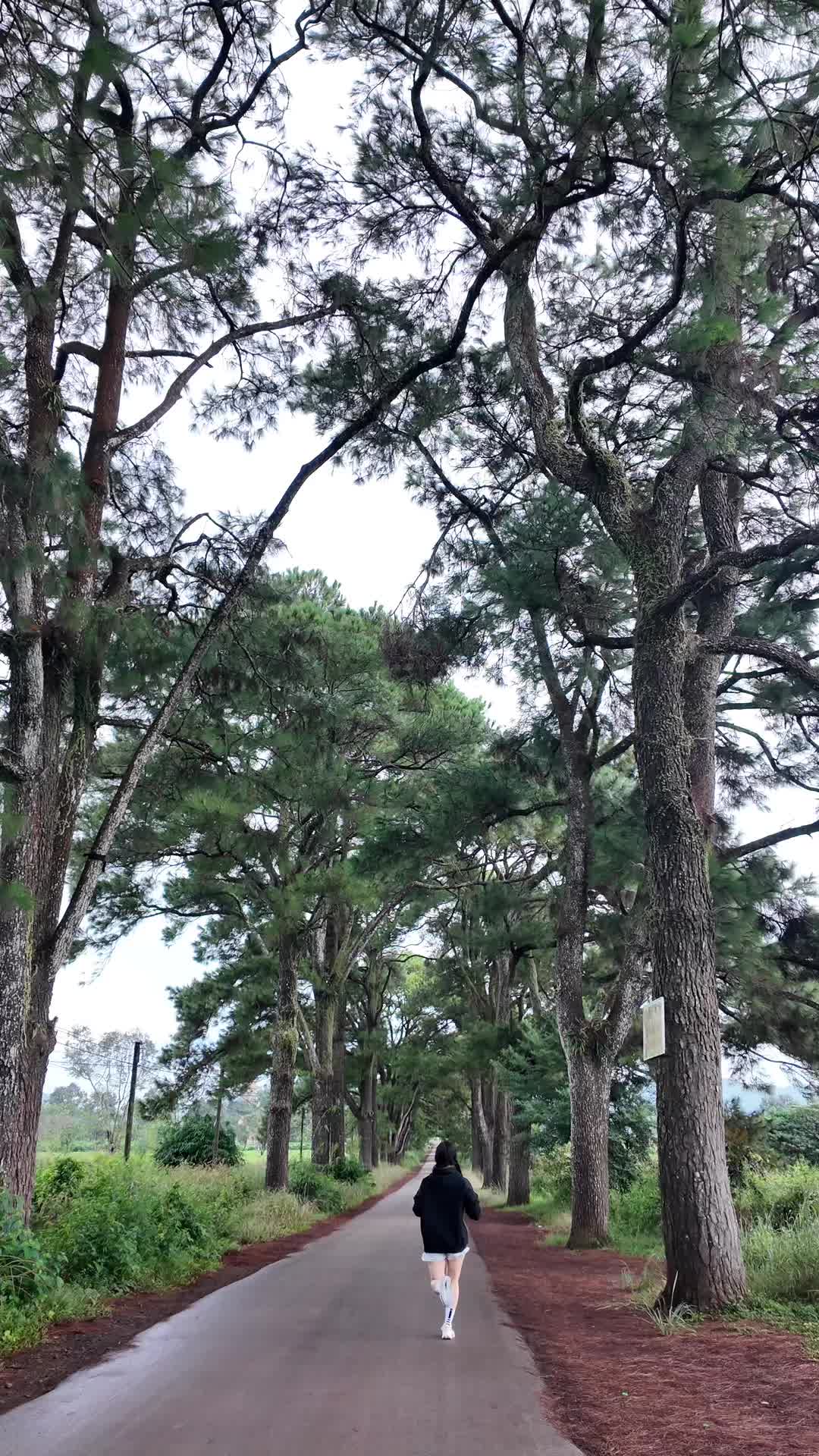@KA tập chạy
