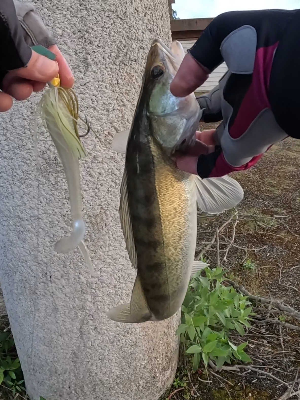 @EB FISHING EUROPE