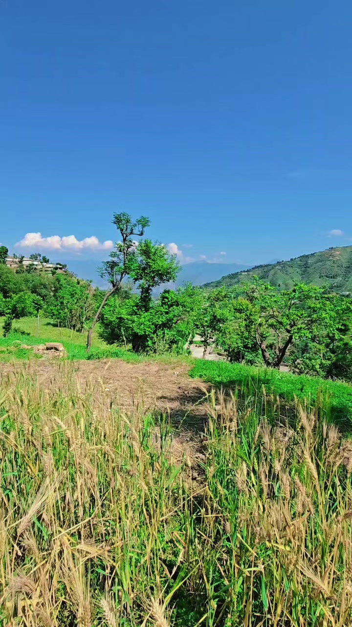 @INAM KHAN RAJ
