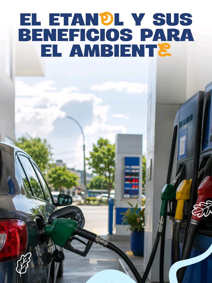 @Ministerio de Ambiente GT