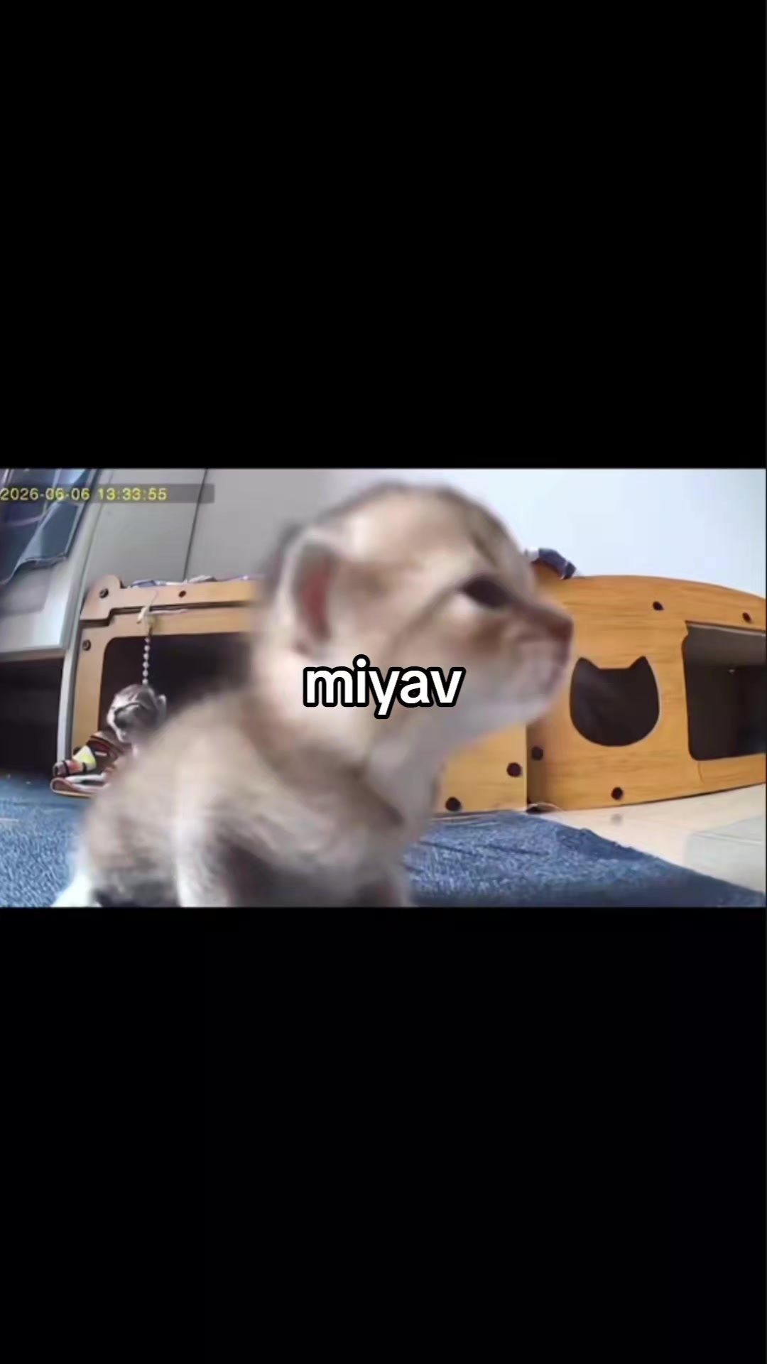 @ask101