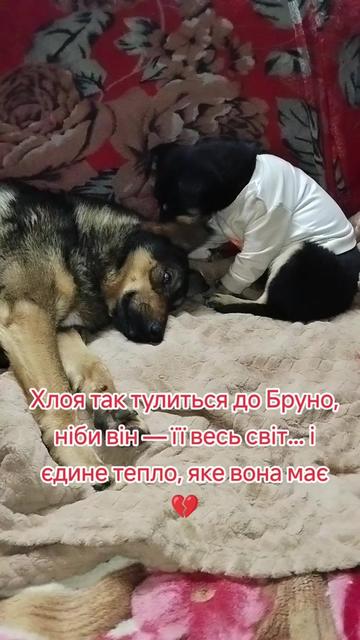 @viktoria)