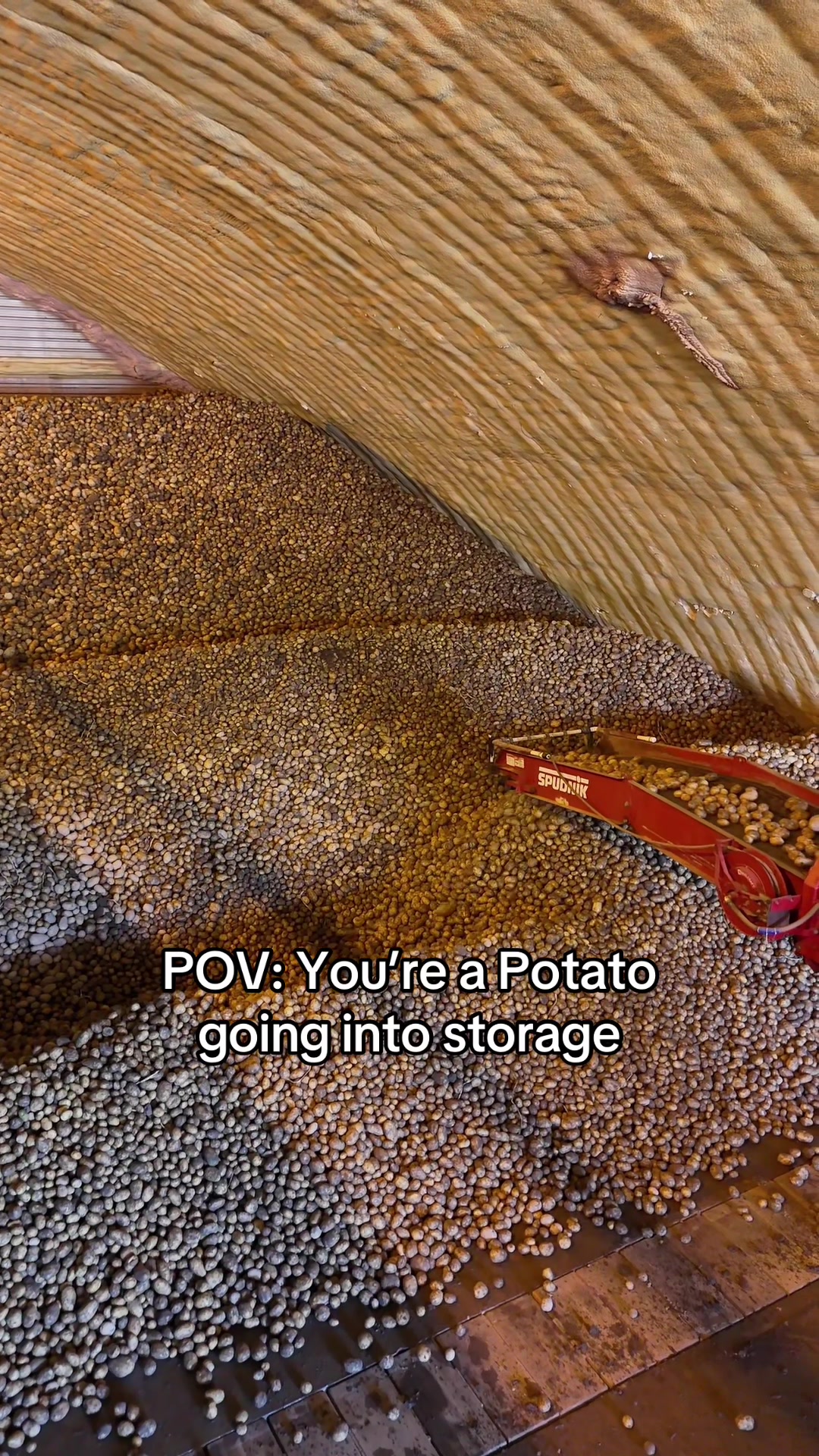 @Potato Ty