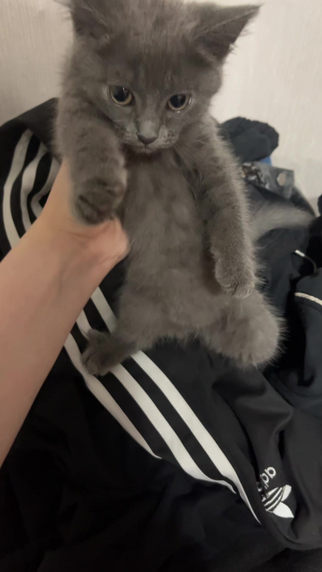 @хх