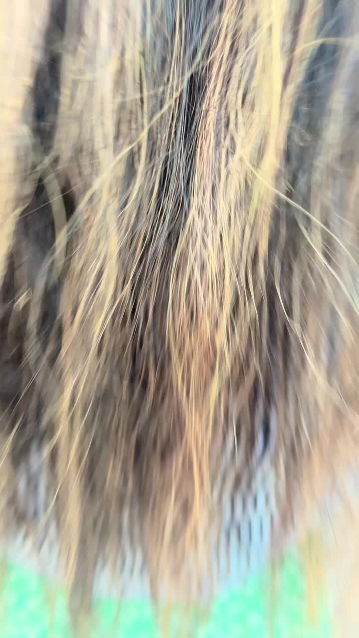 @छायाँ🇳🇵 🇶🇦