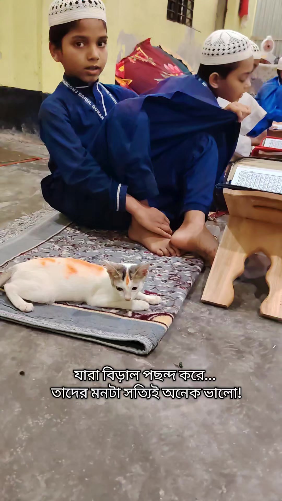 @༺ঘারত্যাড়া ༒শাহজাদা☬༻