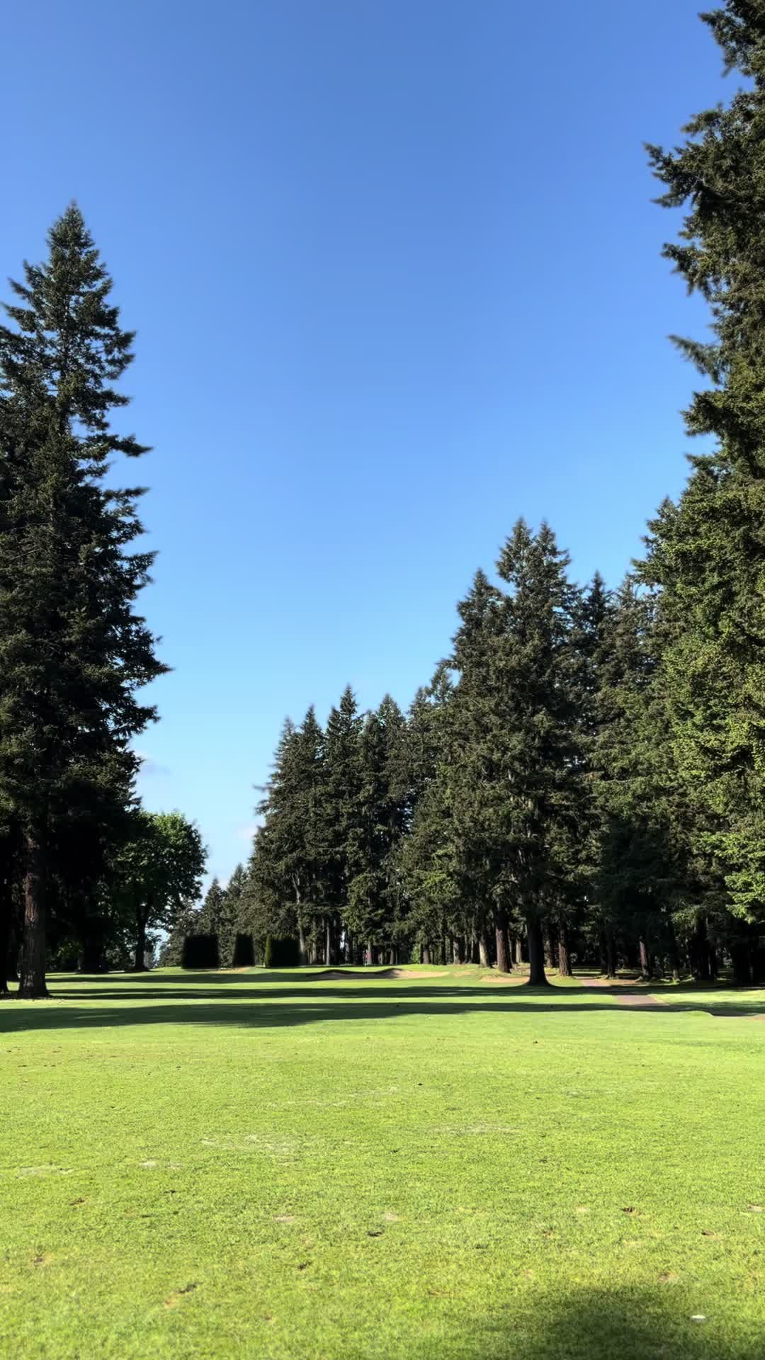 @ChasingAcesGolf