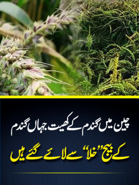 @UrduPoint.com