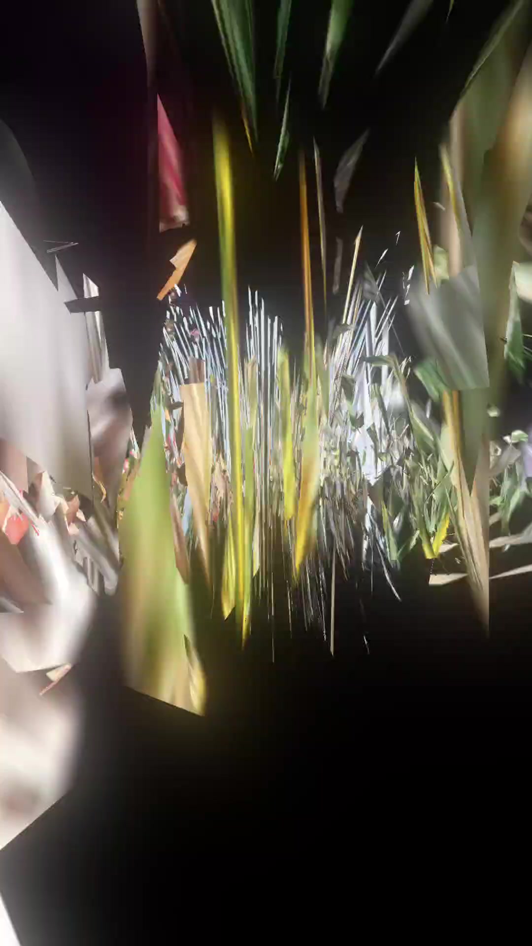 @SHOBA 🦋🦋THE LIONESS ♠️Queen