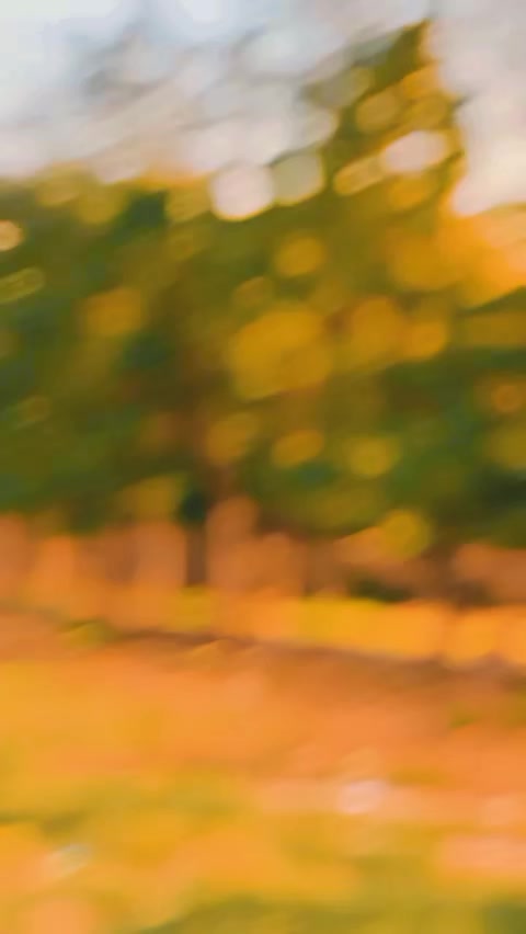 @𝐂𝐡🚩