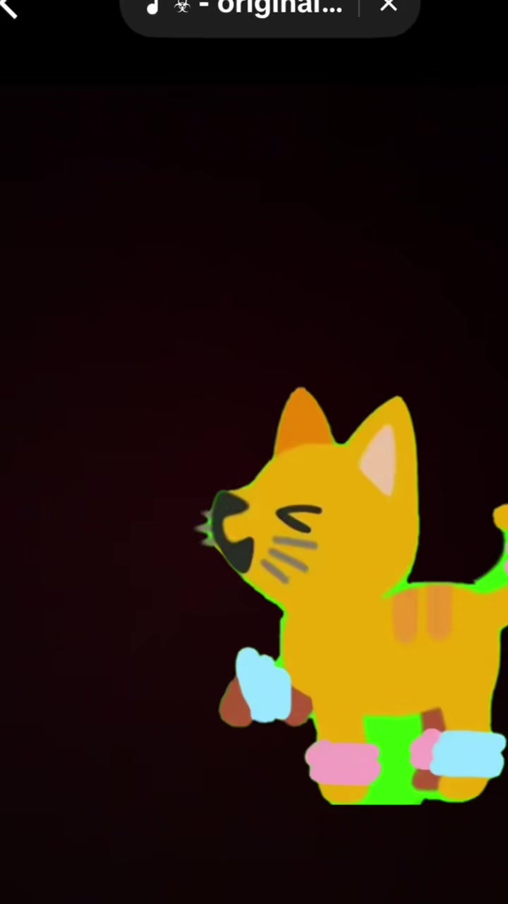@Cici cool cat