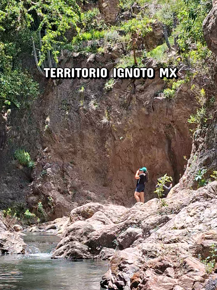 @TERRITORIO IGNOTO MX 🇲🇽