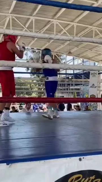@palas boxing