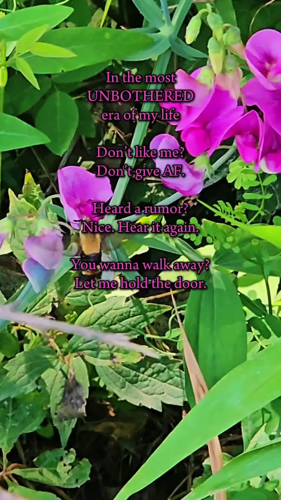 @Ramonda | TikTok Shop Finds