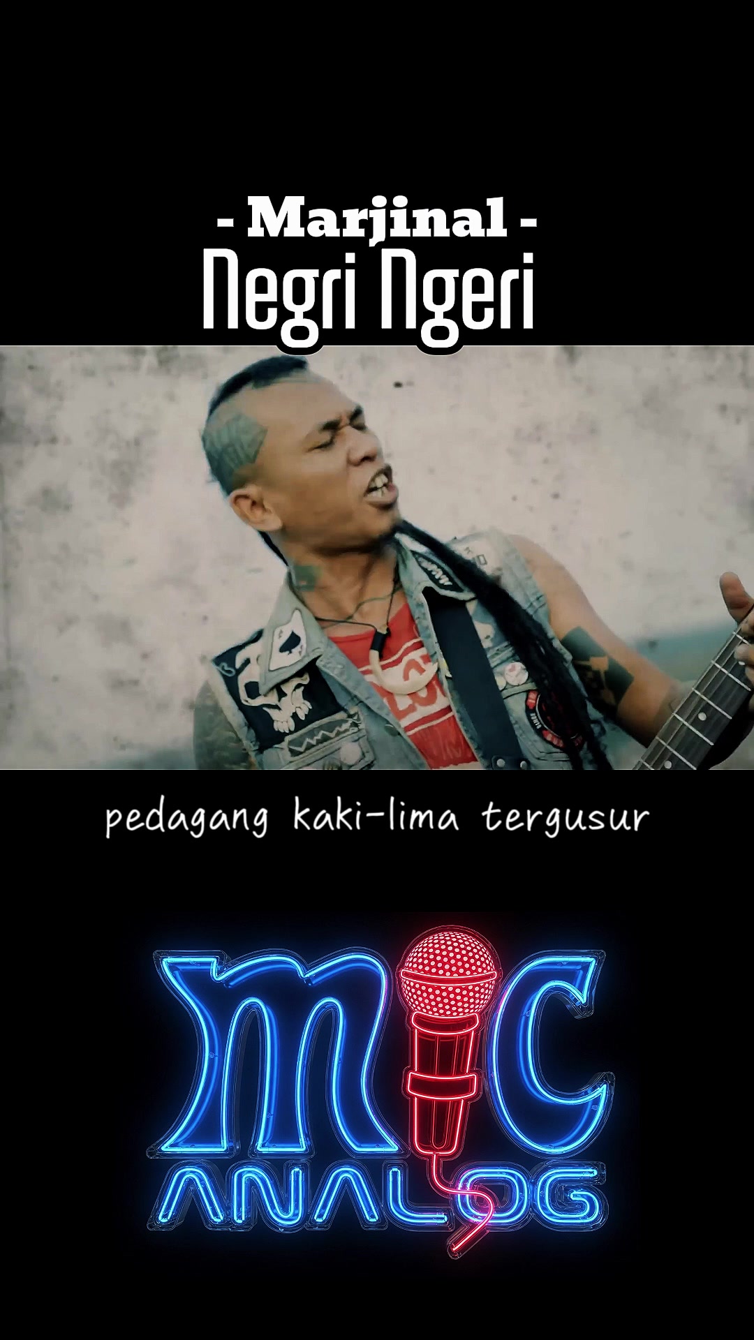 @mic analog