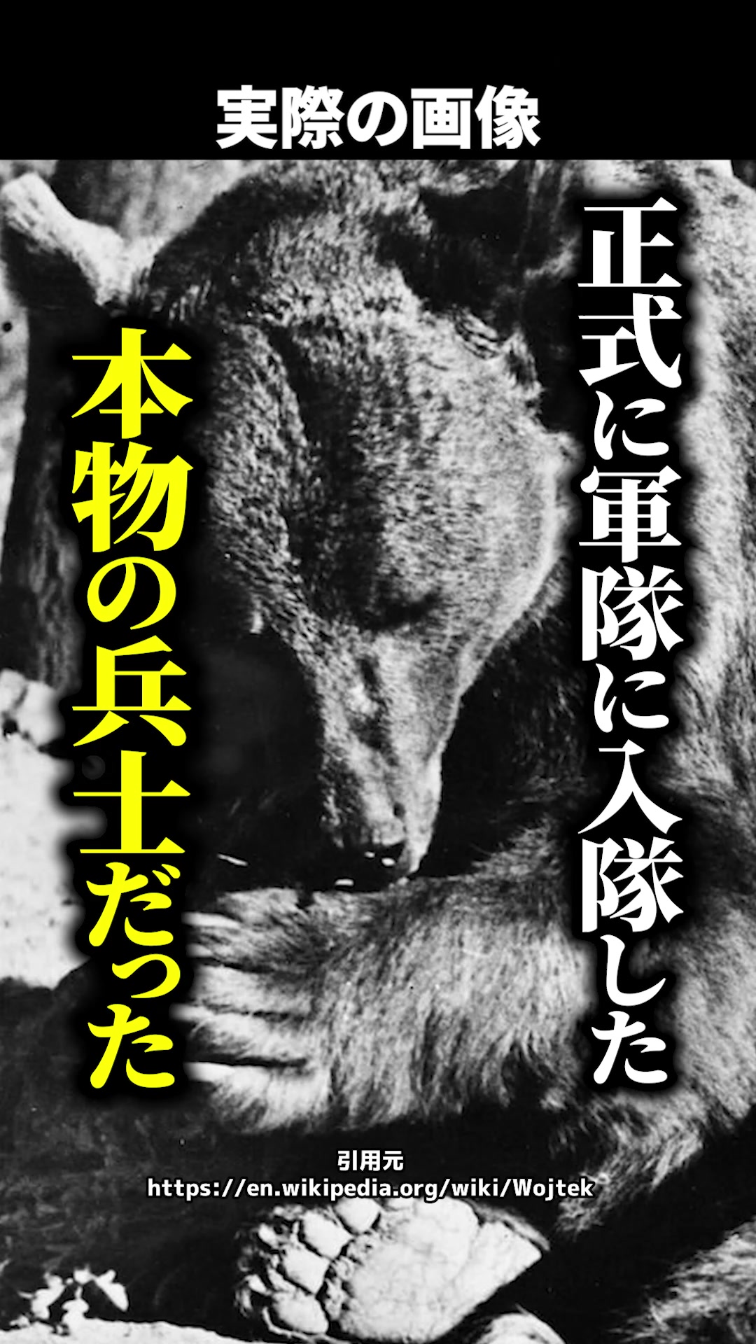 @岡野タケシ弁護士【アトム法律グループ】
