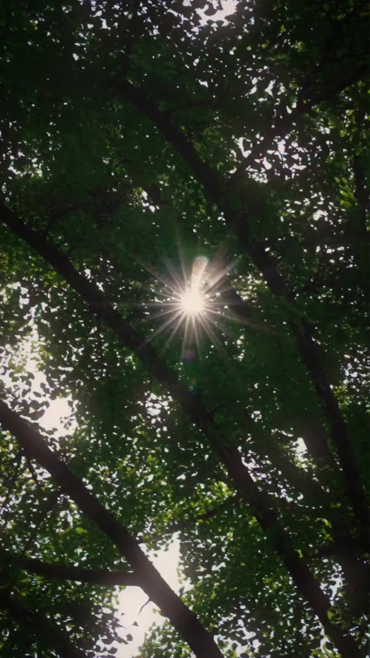@🦅연세대학교🦅