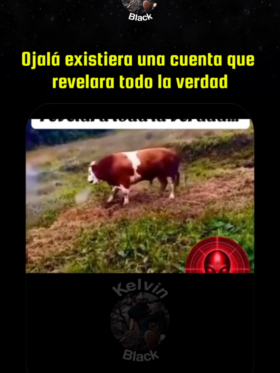 @Kelvin Black