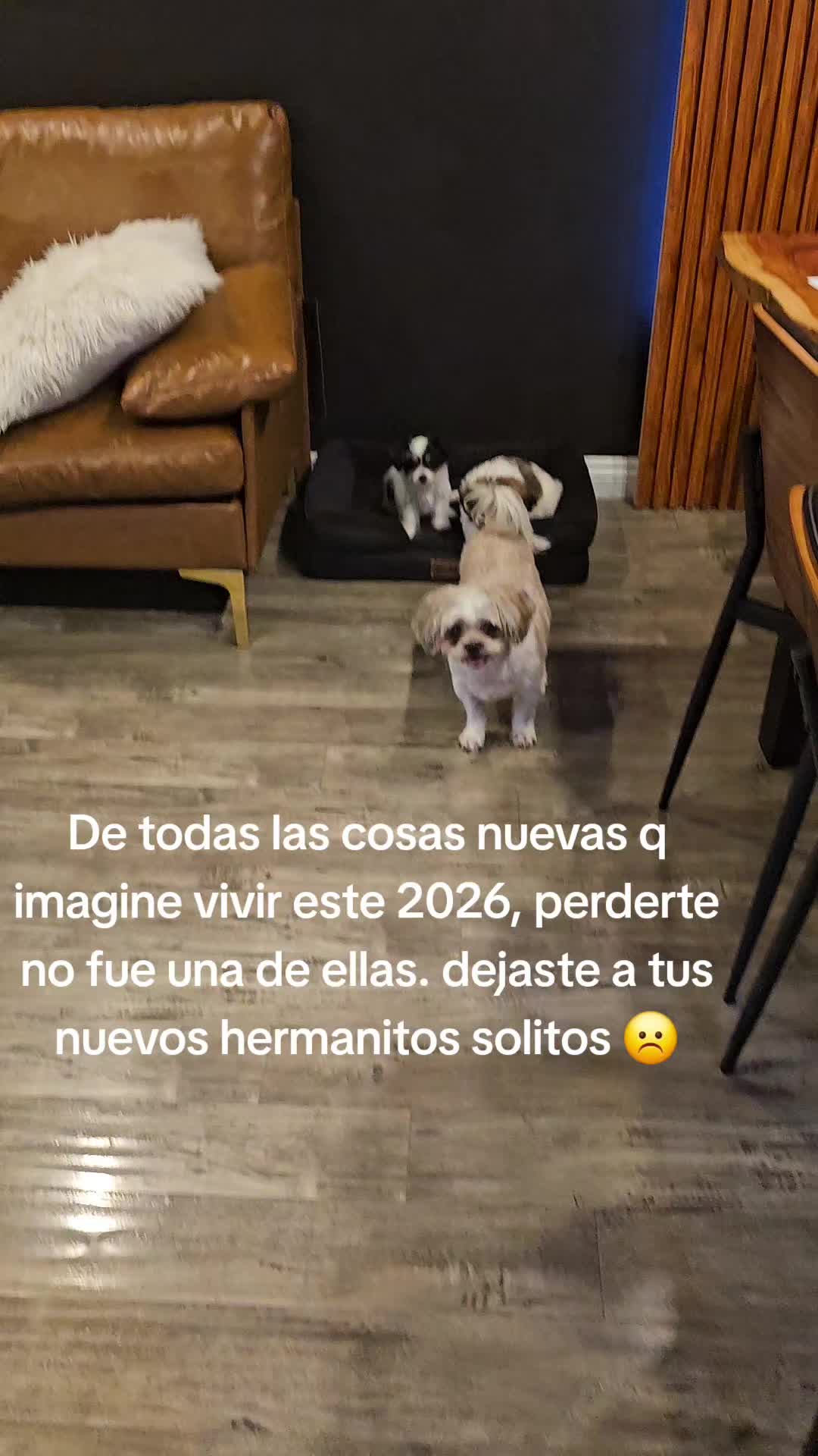 @Jazmin Larranaga
