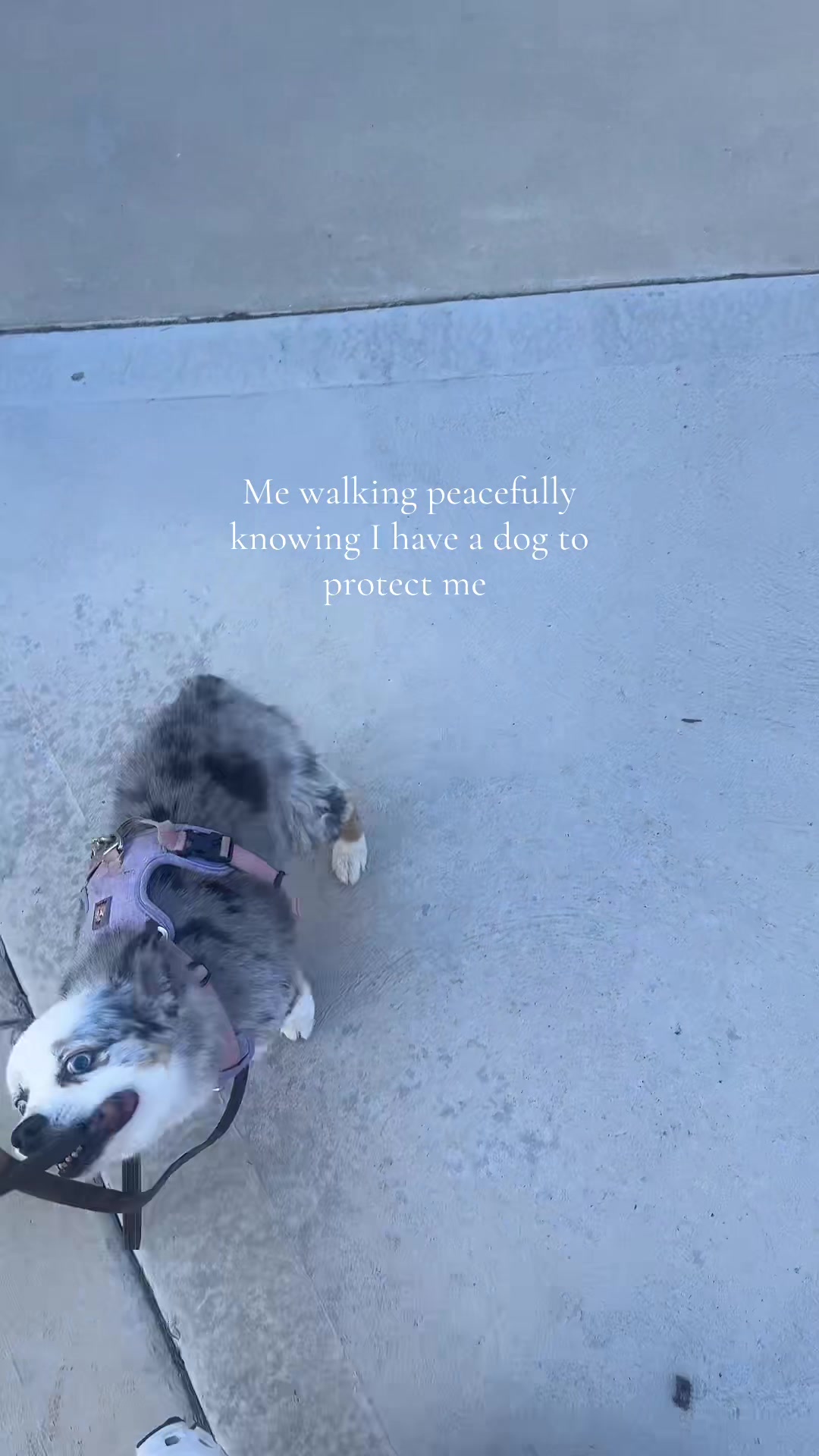 @Ri
