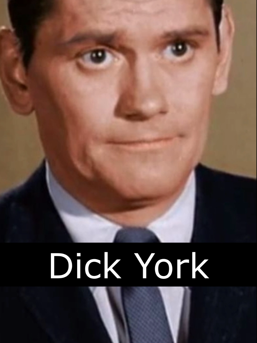 @Ed Collects