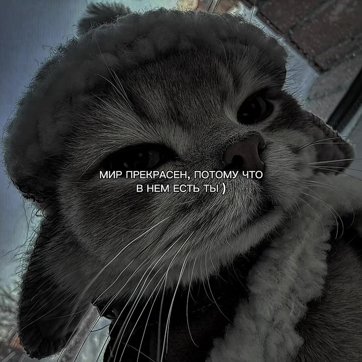 @ХХИКА