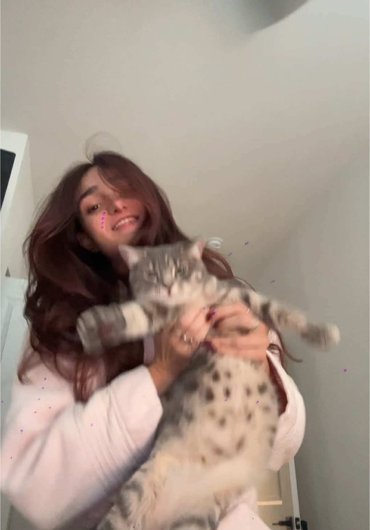 @isabella