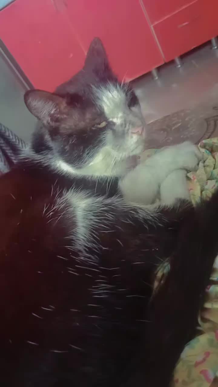 @Мукабай 🐈