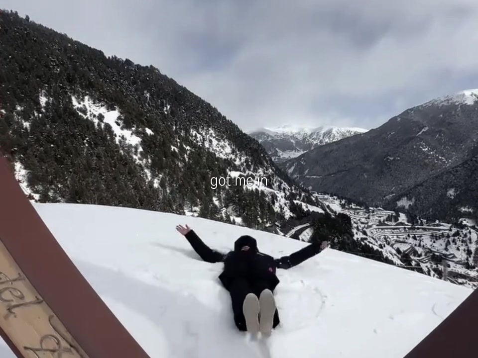 @Птица