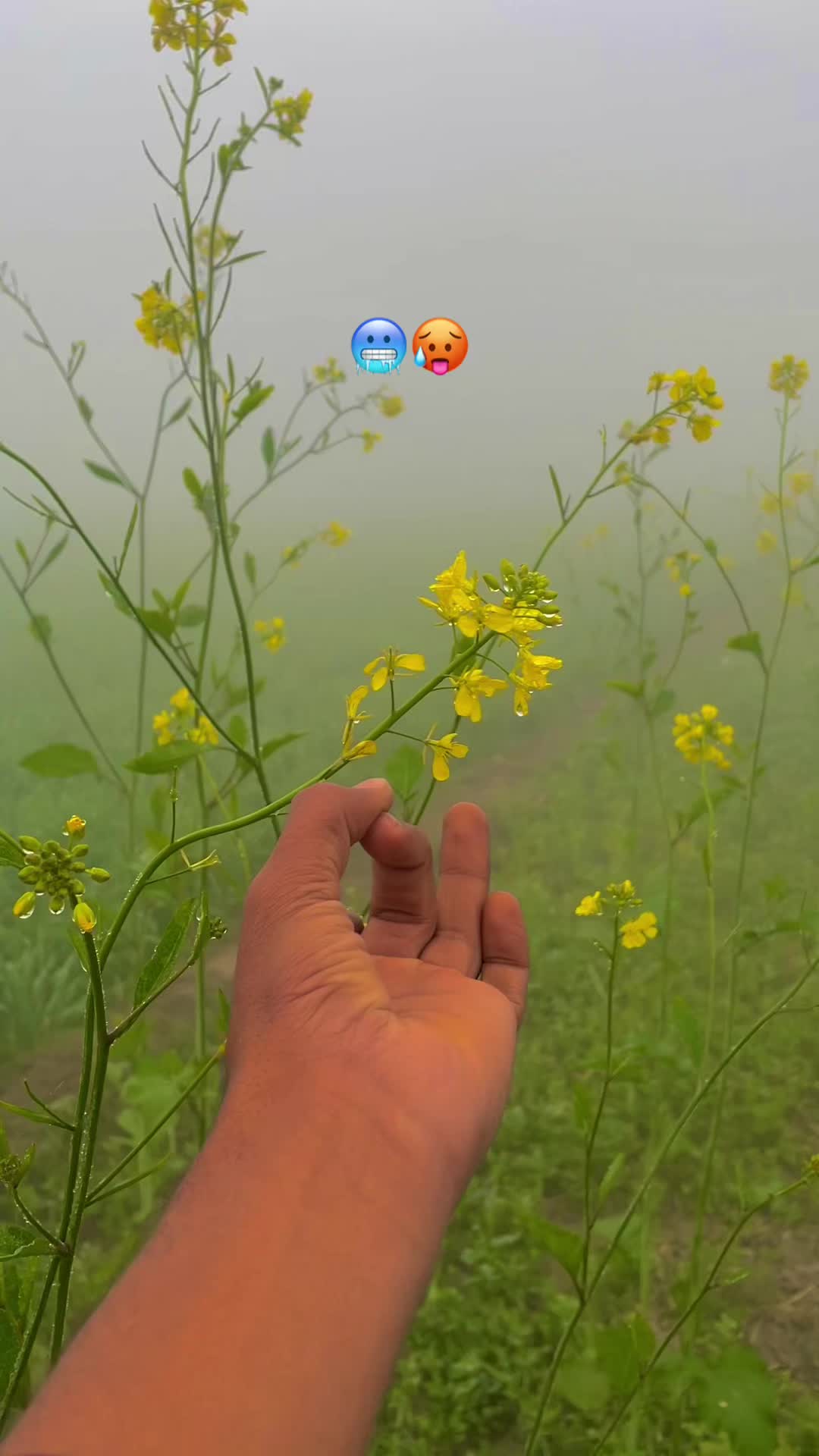 @😎اویس راجپوت🕊️❤️🔥